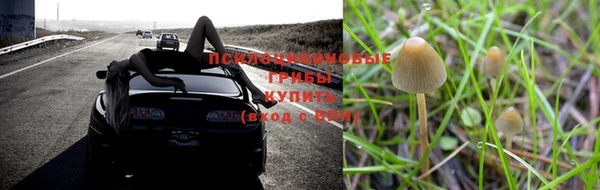 молекула духа Тобольск