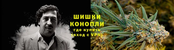 индика Михайловск