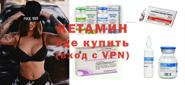 индика Михайловск