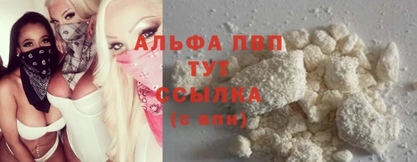 индика Михайловск