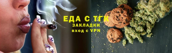 индика Михайловск