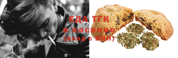 индика Михайловск