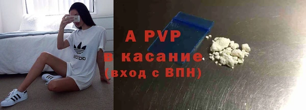 индика Михайловск