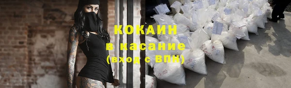 индика Михайловск
