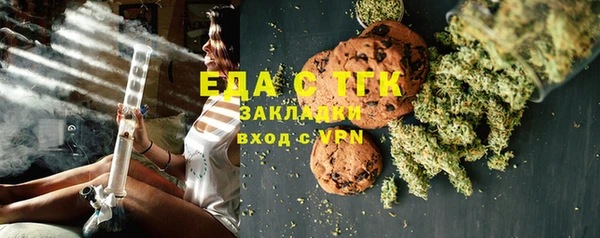 индика Михайловск