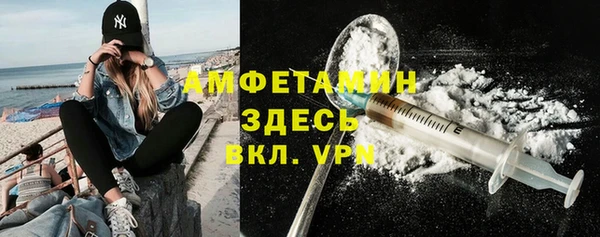 индика Михайловск