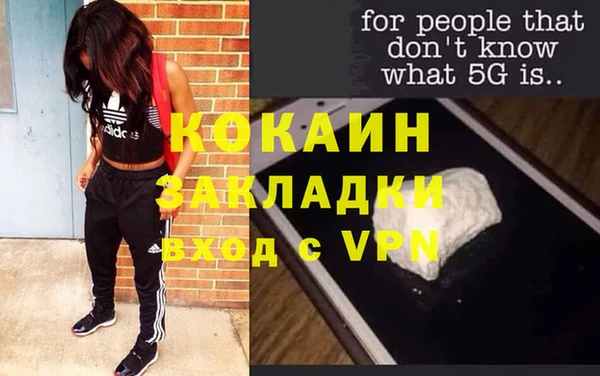 индика Михайловск