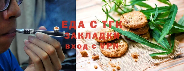 индика Михайловск