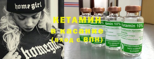индика Михайловск