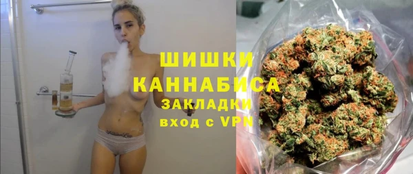 индика Михайловск