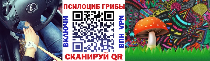 Псилоцибиновые грибы мицелий  Чекалин 